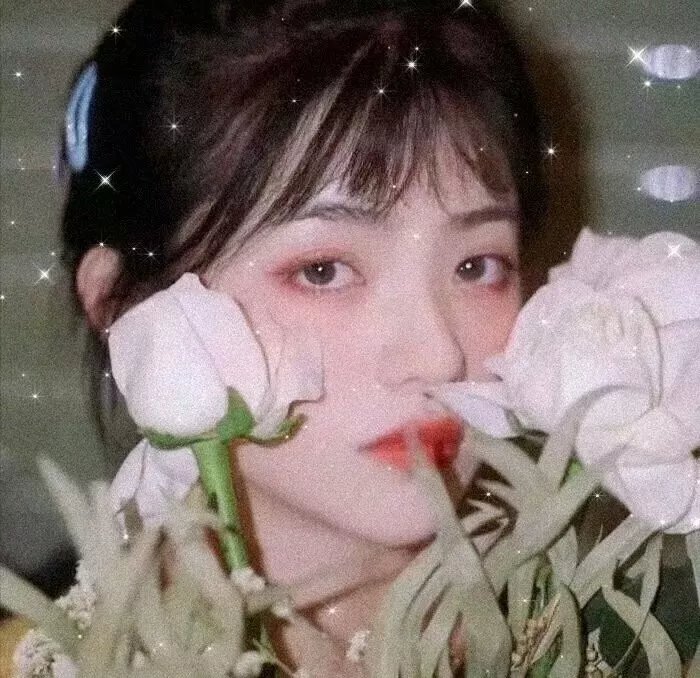 北极